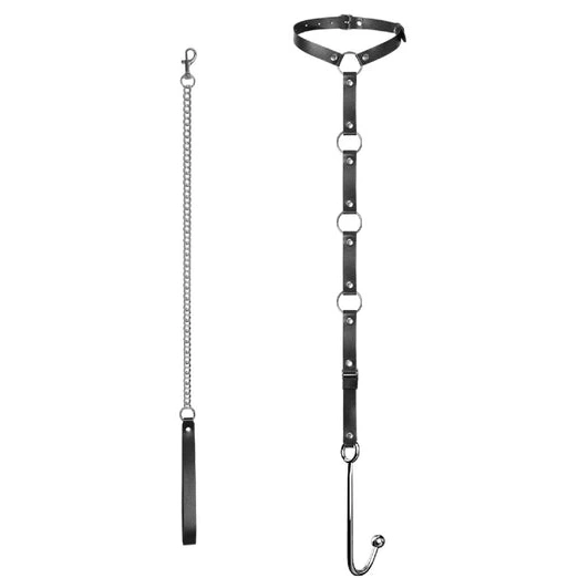 Leash EverydayUse with 5853 Kinky Collar Anal Hook and 0803
